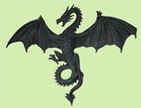 dragonseeker logo